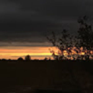 Meet your Posher, Brysa